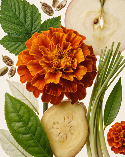 ANTIOX – Antioxidantien-Pflegeprogramm
